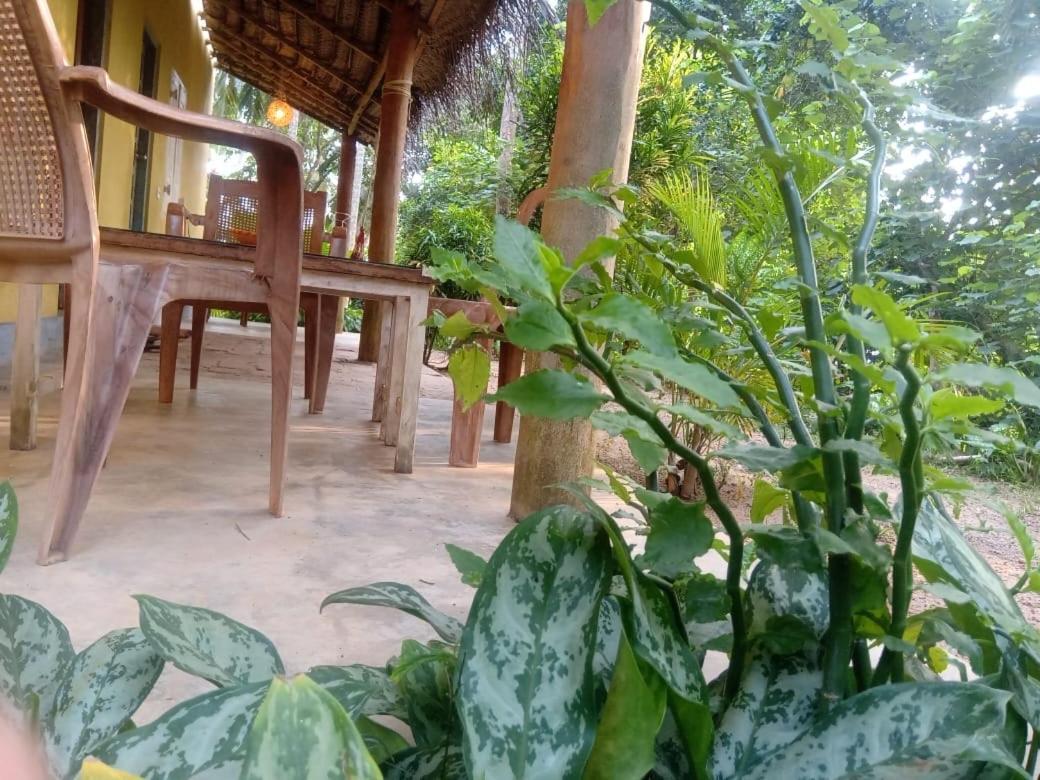Kelaya at Hiriketiya Collection Otel Dikwella Dış mekan fotoğraf
