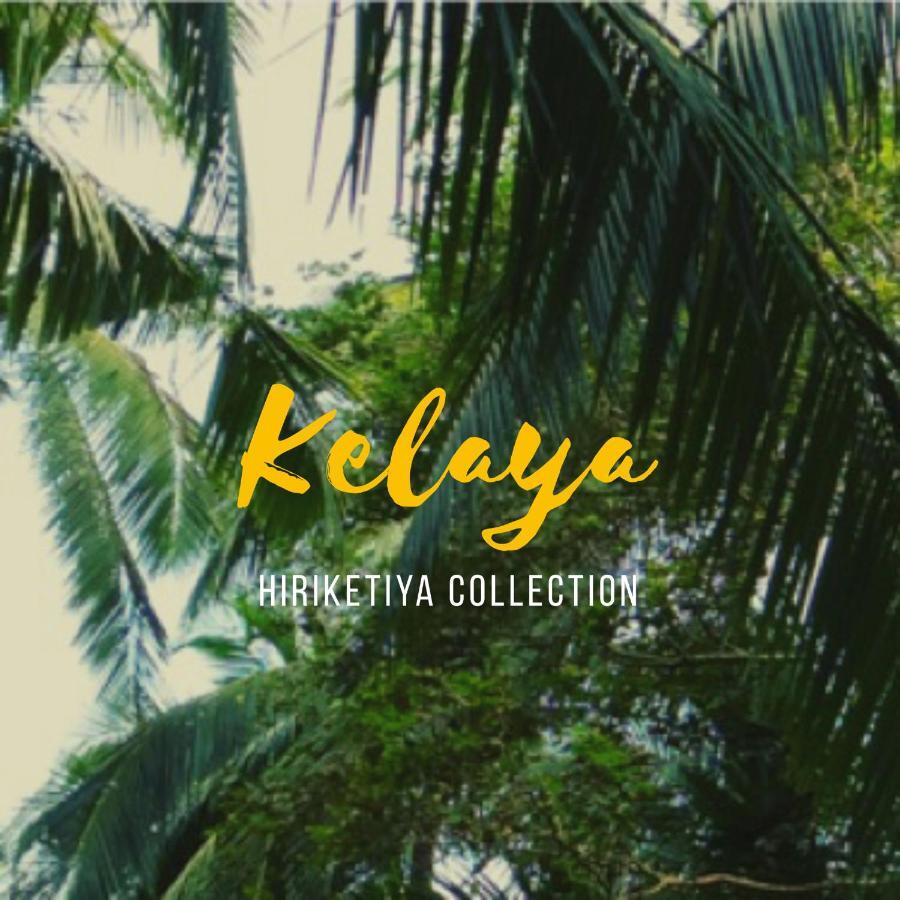 Kelaya at Hiriketiya Collection Otel Dikwella Dış mekan fotoğraf