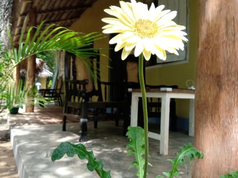 Kelaya at Hiriketiya Collection Otel Dikwella Dış mekan fotoğraf